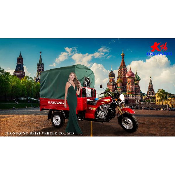 Cargo 250cc Powerful Durable Tricycle Petrol Tricycle with Cabin