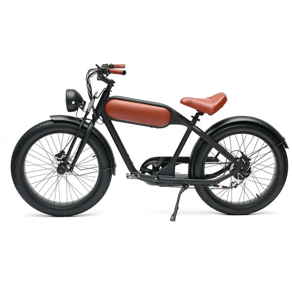 48V750W Bafang Motor Electric Bike DOMANCA Customized Fat Tire Electric Motorcycle