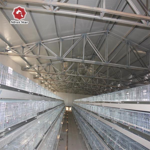 Poussins automatiques du système 13 de cage de batterie de ferme de poulet à rôtir/cellule