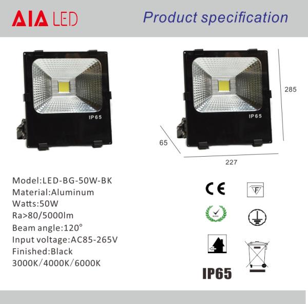Garden and outdoor IP65 waterproof COB 50W LED Flood light/LED outdoor led spot light