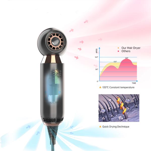 Mini One Step 800W Portable Gas Hair Dryer For Home Use