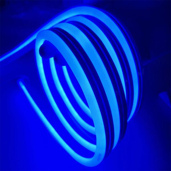 3 Years Warranty Flexible Silicone Neon Strip Light 12V Input, 10mm Cutting Unit