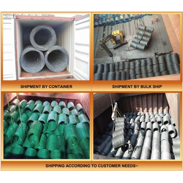 Cold Heading Galvanized Hot Rolled Steel Wire 0.3-50mm