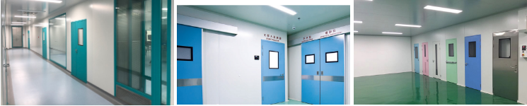 Stoving Varnish Pharma Steel Swing Cleanroom Door Dustproof