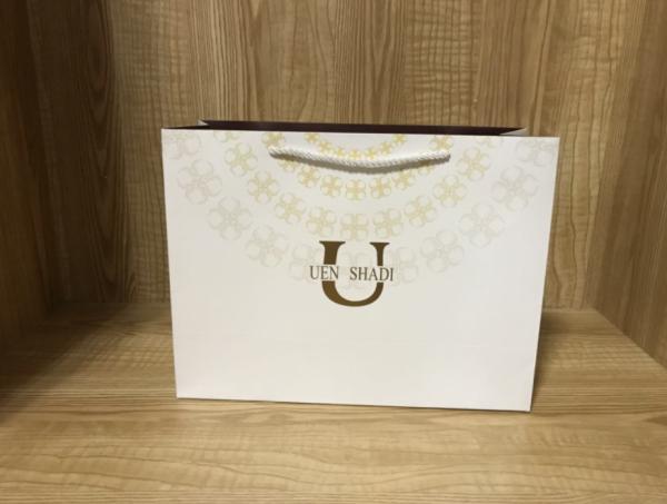 Custom CMYK Printing Cardboard Shopping Bags With Nylon Rope Handle