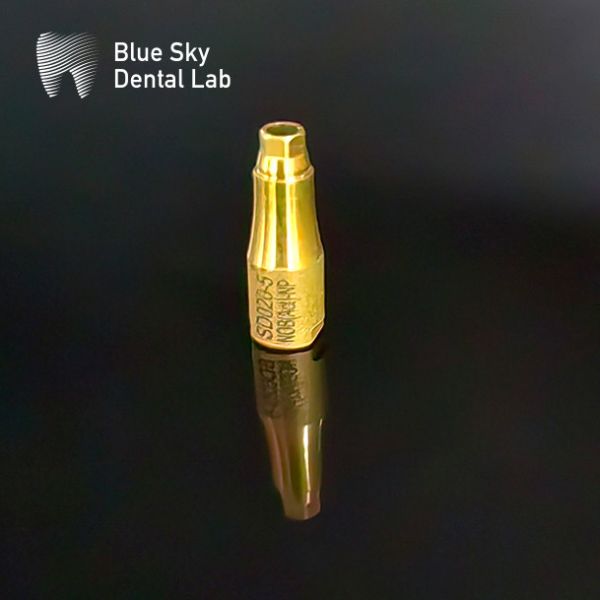 Металлические имплантаты костного мозга, сканирование тела, золотое 5 мм.