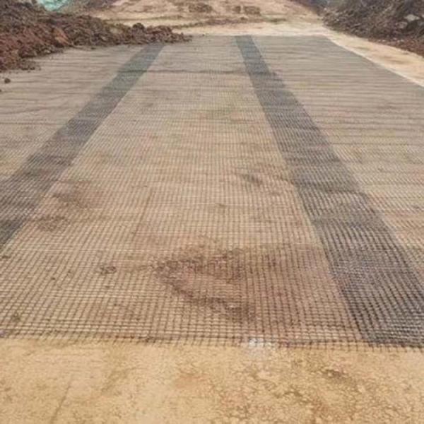 Industrial Design Style Bidirectional Plastic Geogrid for Road Foundation Enhancement