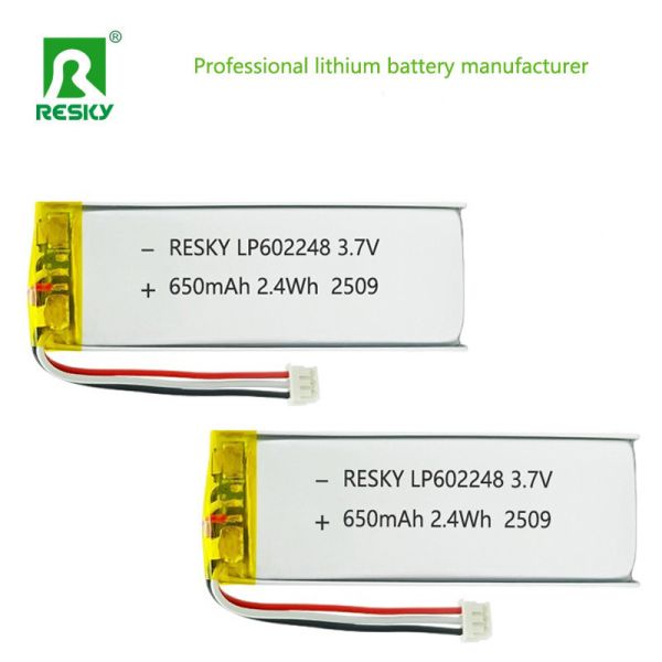 PCM Protected 602248 3.7V 650mAh Lithium Polymer Battery With 10K NTC For Smart Wearables