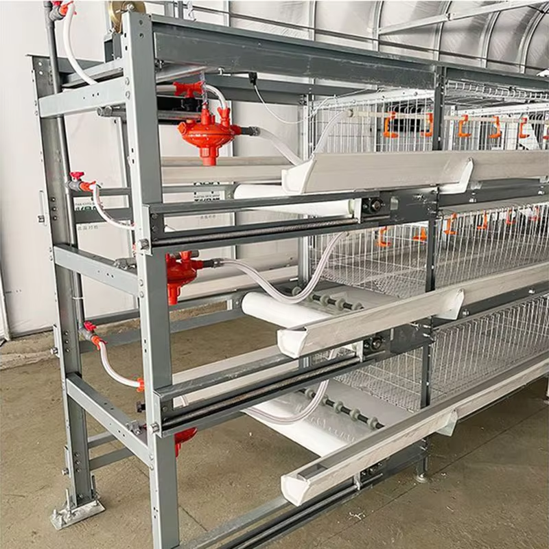 Automatic H Type Battery Layer Chicken Cage System with Fully Automatic Operation, Hot-Dip Galvanized Steel, and H-Type Layered Design for Poultry Farming