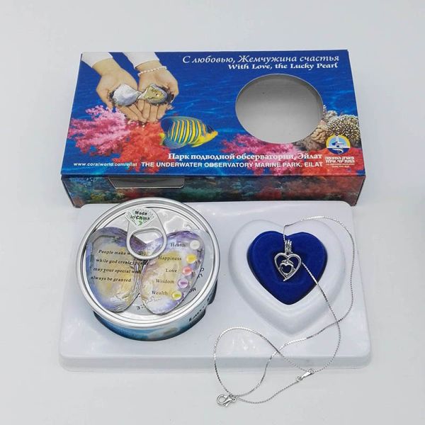 Custom Color Box DIY Wish Pearl Necklace Gift Box With Fashion Cage Pendant sending to Everybody