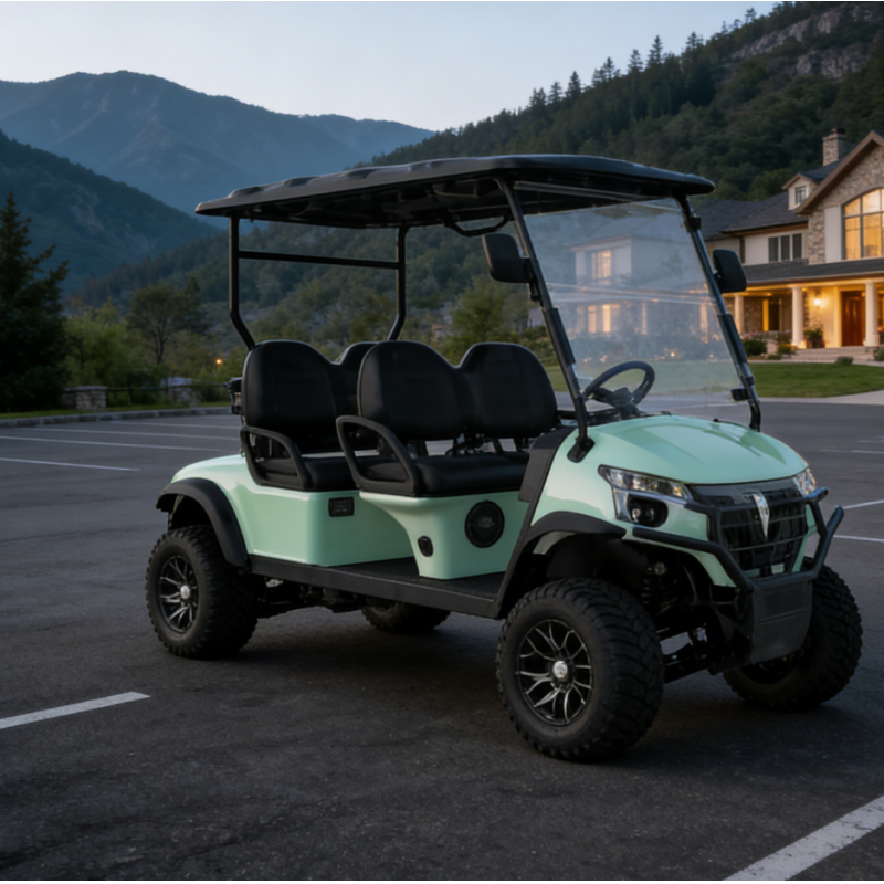 Multi-Scenario D3 Series 4 Seats Golf Buggy Front Bumper Rear Tail Light Microfiber Leather Seat Comfort