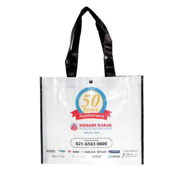PP Custom Eco Handled Laminated Non Woven Packaging Bags