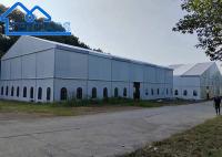TUV Large Heavy Duty Marquee Tent Alumínio Frame Basketball Tents A Shape Marquee Tent Preço