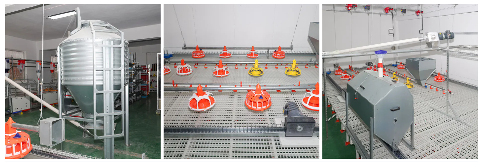 Custom Automated Poultry Equipment with Hot-Dip Galvanized Steel Anti-Spillage Design and Nipple Drinkers