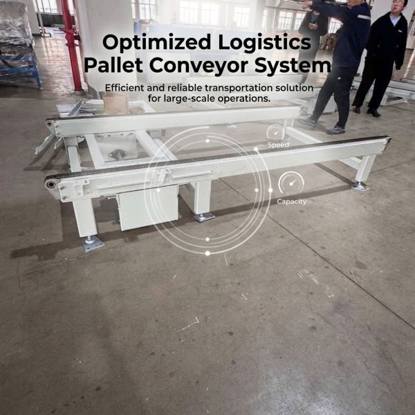 Low Temp Pallet Chain Conveyor 500kg – 2000kg Cold Storage Drag Chain Conveyor