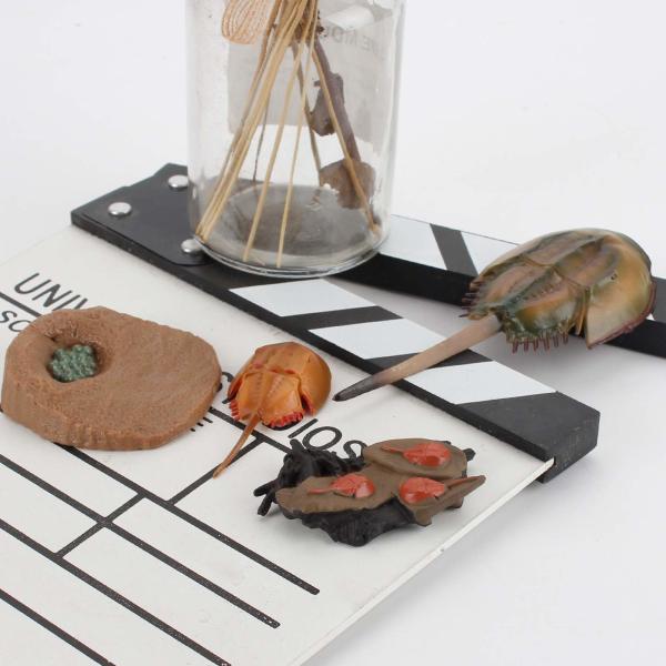 4 PCS Sea Marine Animal Figures Ocean Creatures Action Models Life Cycle Horseshoe Crab Figure