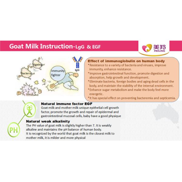 12 месяца сухого молока козы момента времени 800gm младенческого