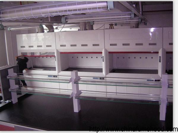 Multifunctional Fume Hood Biosafety Cabinet Moistureproof Durable