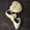 Dental Alloy Metal Ceramic Crown Dental Restoration Porcelain Fused Metal Teeth