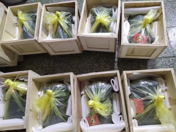 A4VSO250DR/22R-VPB25N00 A4VSO355LR2G/30R-PZB13N00 オリジナルドイツ製ピストンポンプ