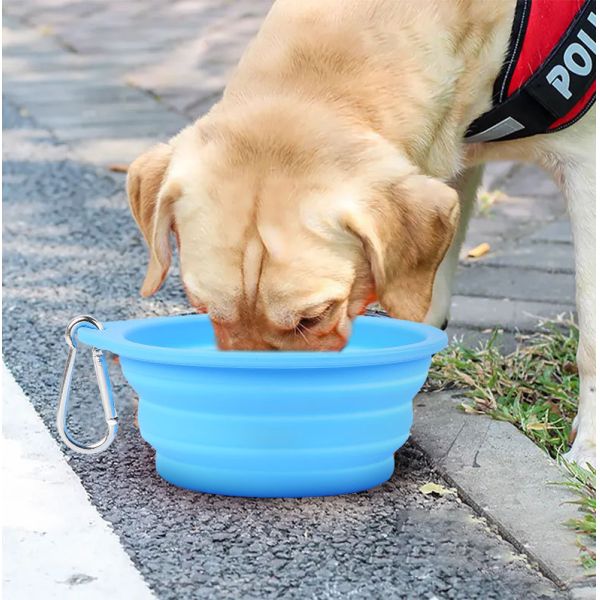 Travel-Friendly Silicone Pet Bowl for Slow Food and Drinking Water on Outdoor Adventures