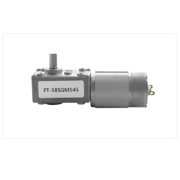 FT-58SGM555 12V 24V High Torque Electric Worm Gear Motor Wall Mounted