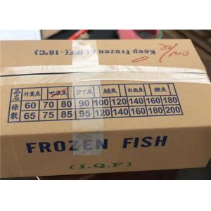 Frozen Mackerel
