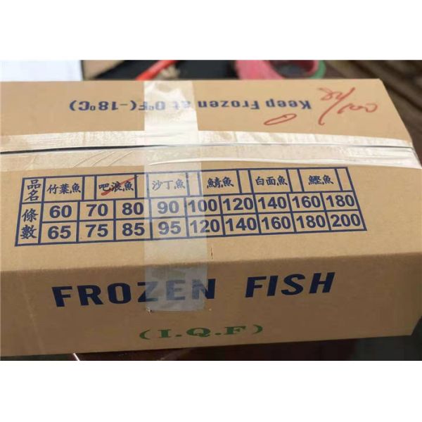 BQF Seafrozen  Pacific Horse Mackerel Frozen Fish