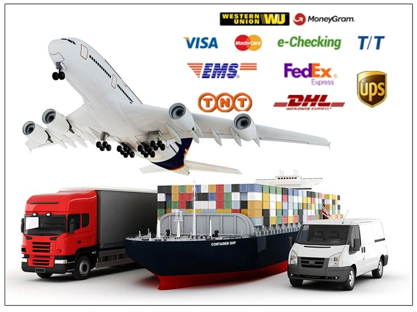 Custom Suspension Repair Kit for BMW E53 X5 31351097021 Control Arms Bushings Sway Bars