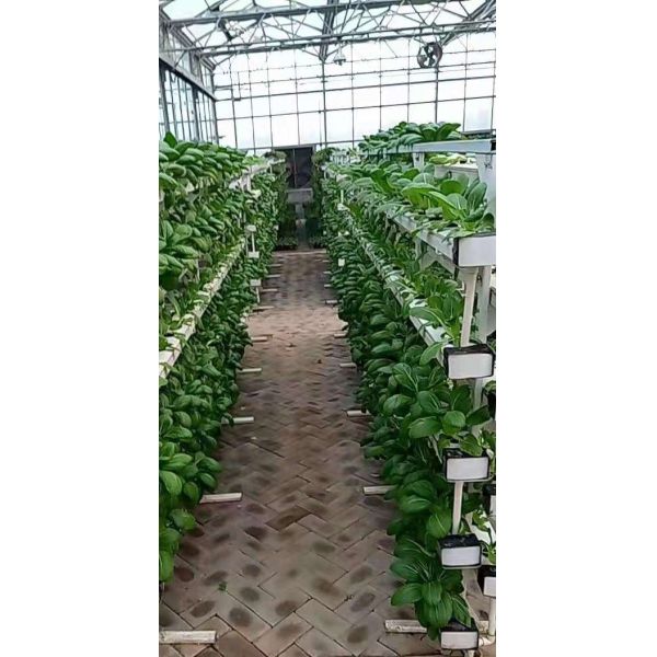 commercial NFT hydroponic growing system greenhouse NFT hydroponic channel