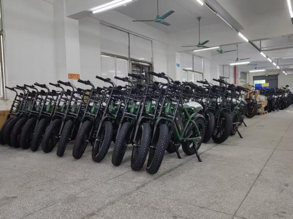 Full Suspension R002 20''*4.0 250W Electric Bike with Rear Hub Motor 48v Vintage Fat Tire Bike Power Supply Lithium Battery