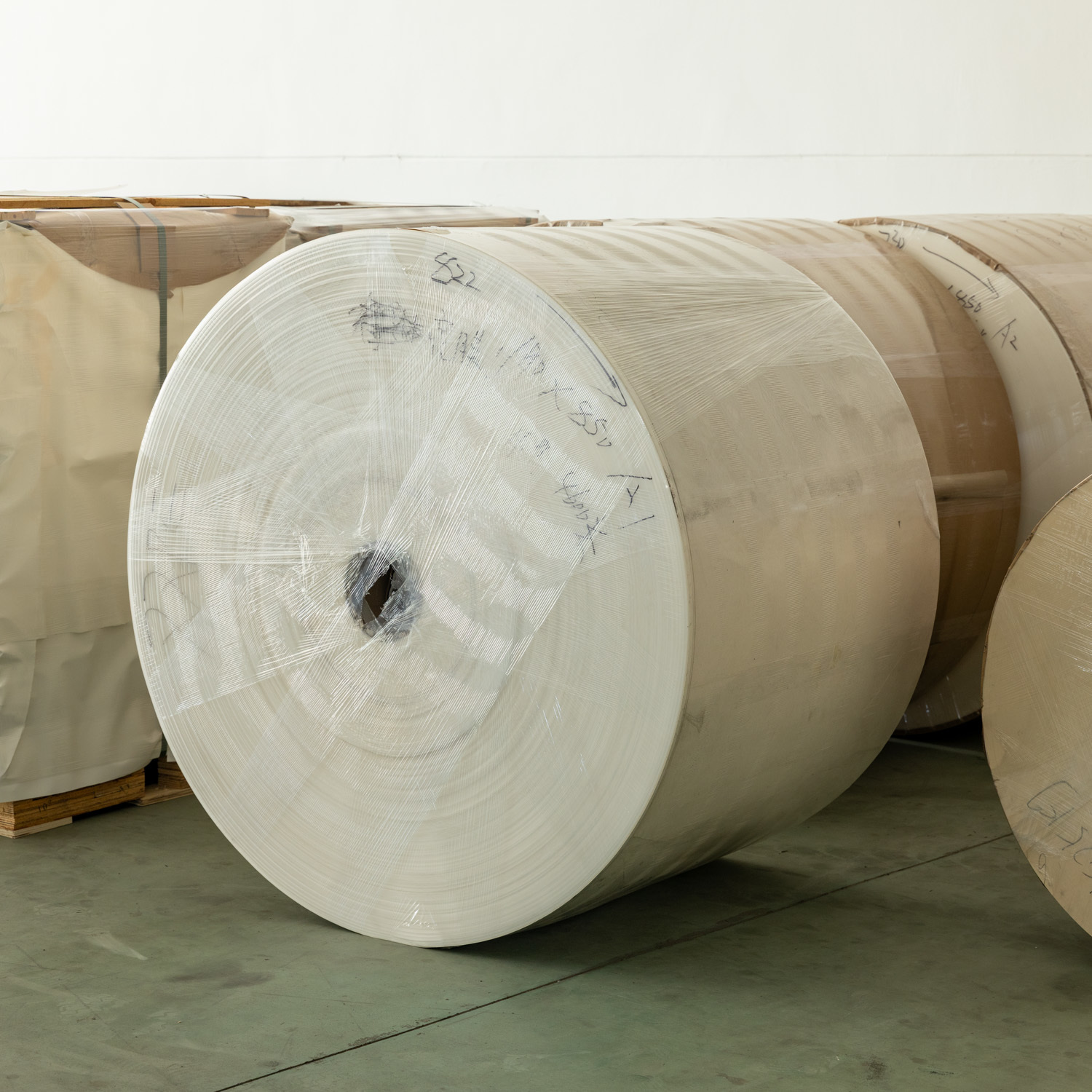 Waterproof PE Coated Paper Roll with Customized Printing and 190-320 gsm for Paper Cup Base Paper