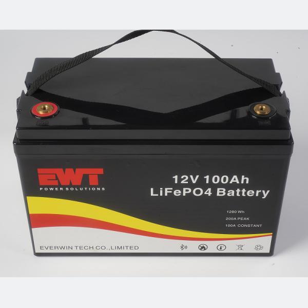 High Capacity 12V 100Ah Long Life Lithium Iron Phosphate BMS Battery Pack