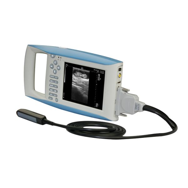B Mode Medical Ultrasound Machine Diagnostic KX5100 VET Veterinary  Instruments