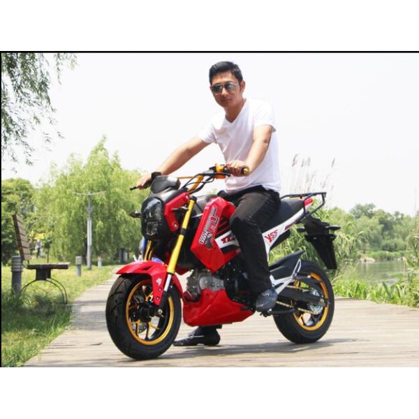 Manual Drive Gas Powered Dirt Bikes Disc Brake 110cc 125cc With Horn