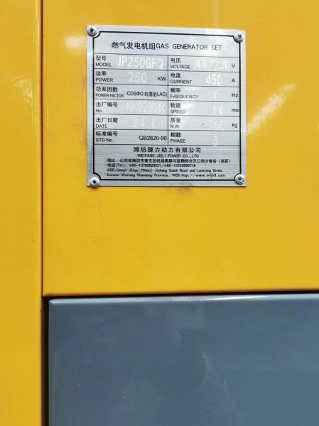 Clean Energy Water Cooling Electric Bio Gas Generator 200KW 250KW Rated Voltage 230/400V