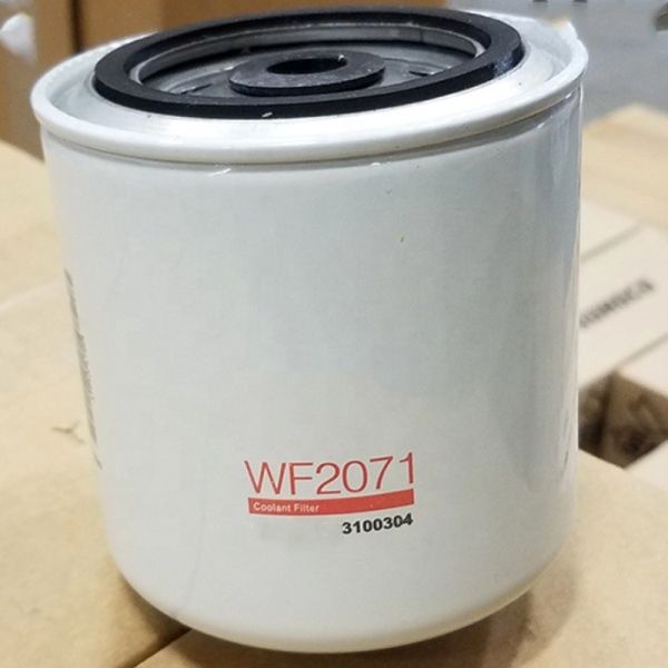 High Quantity Coolant Water Filter Element P552071 3100340 1289132 3131751 for Bobcat