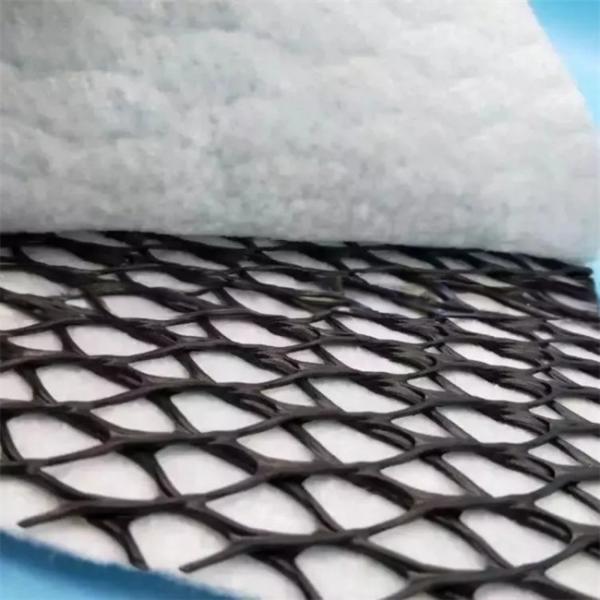 Length 50m Geocomposite Drainage Sheet 3d Composite Drainage Net 3d Geonet for T/T Payment