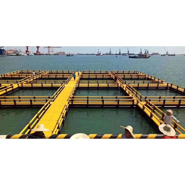 Jwell Marine Sea Rivers Lakes Moors Ponds pedal Extrusion Line