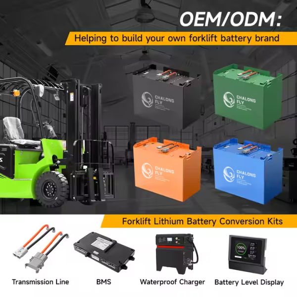 CLF Customized Smart Bluetooth App Grade A LiFePO4 BMS for Forklift Electric Battery 48V 210Ah 315Ah 460Ah 560Ah and Durable