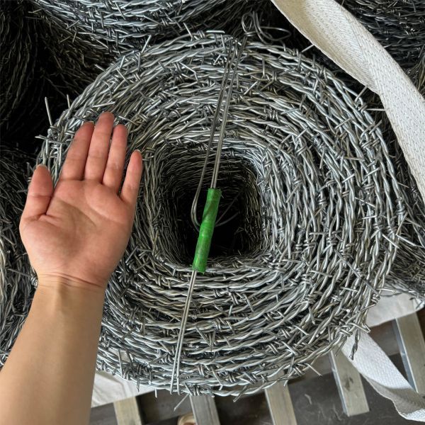 Wholesale Low Cost Electro Galvanised Steel Barbed Wire For Household