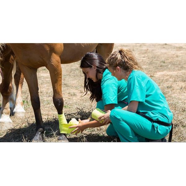 Фиксация Здоровье животных Производитель сплоченный повязка с узором оберток вет гибкий самоклеющийся