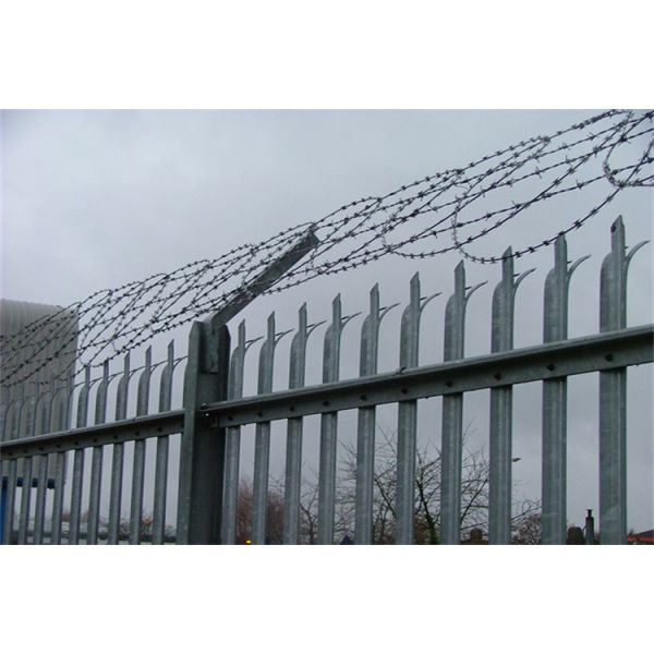 Triple Pointed Anti Corrosion Palisade Fence For Enhanced Protection