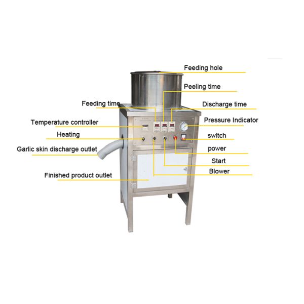 380 V Garlic Processing Machine