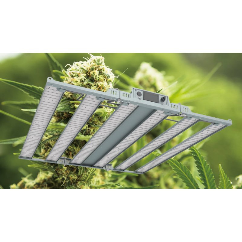 RikoLite 650W 1820umol/S 6 Bars Greenhouse LED Grow Lights
