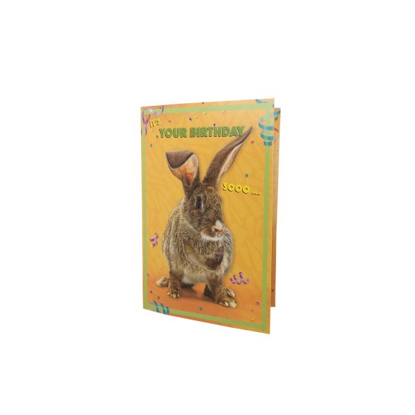 Stratification brillante de carte de voeux de musical de joyeux anniversaire d'OEM