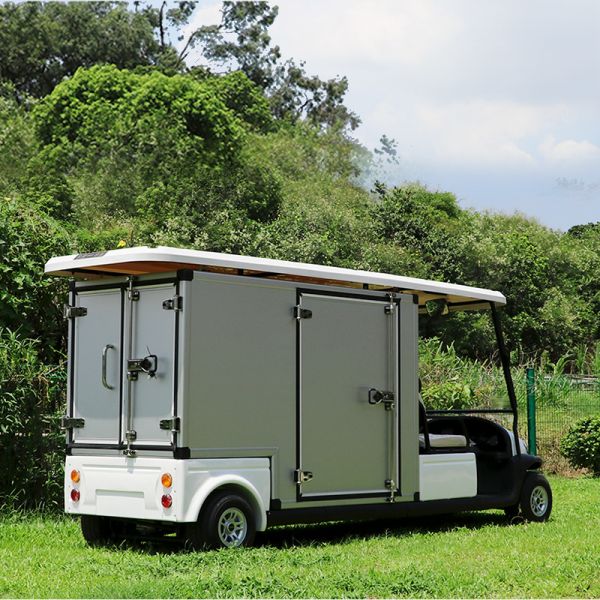 2 Person Al Rear Cargo Box Utility Golf Carts With 1 Year Warranty Time
