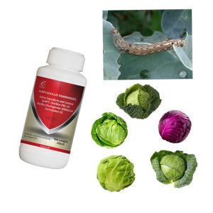 Biological vegetable pesticide Kenya Ghana Nigeria agricultural pesticide uses in Africa market AcNPV Bt