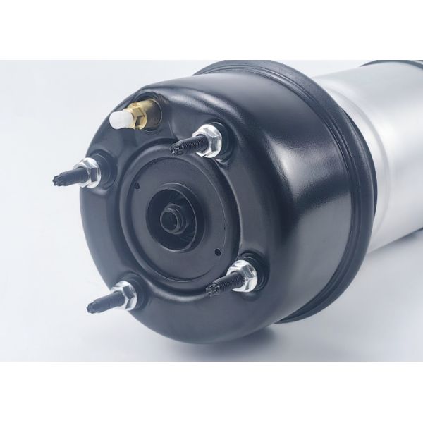 Absorbedor de choque de aire trasero para Jaguar X350 C2C41343