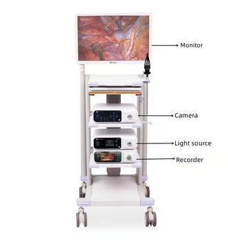 Medical Imaging USB Video Recording Full HD Endoscope Camera for Otoscope Laparoscopy
